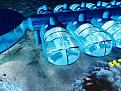 A fost inaugurat in 2009 in apropiere de Fiji si este la momentul actual cea mai spectaculoasa cladire subacvatica.