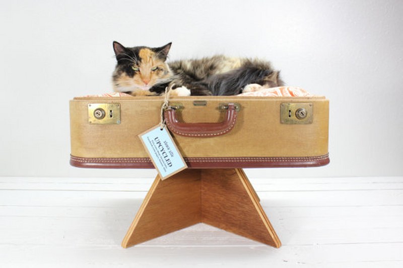 culcus valiza pentru pisica