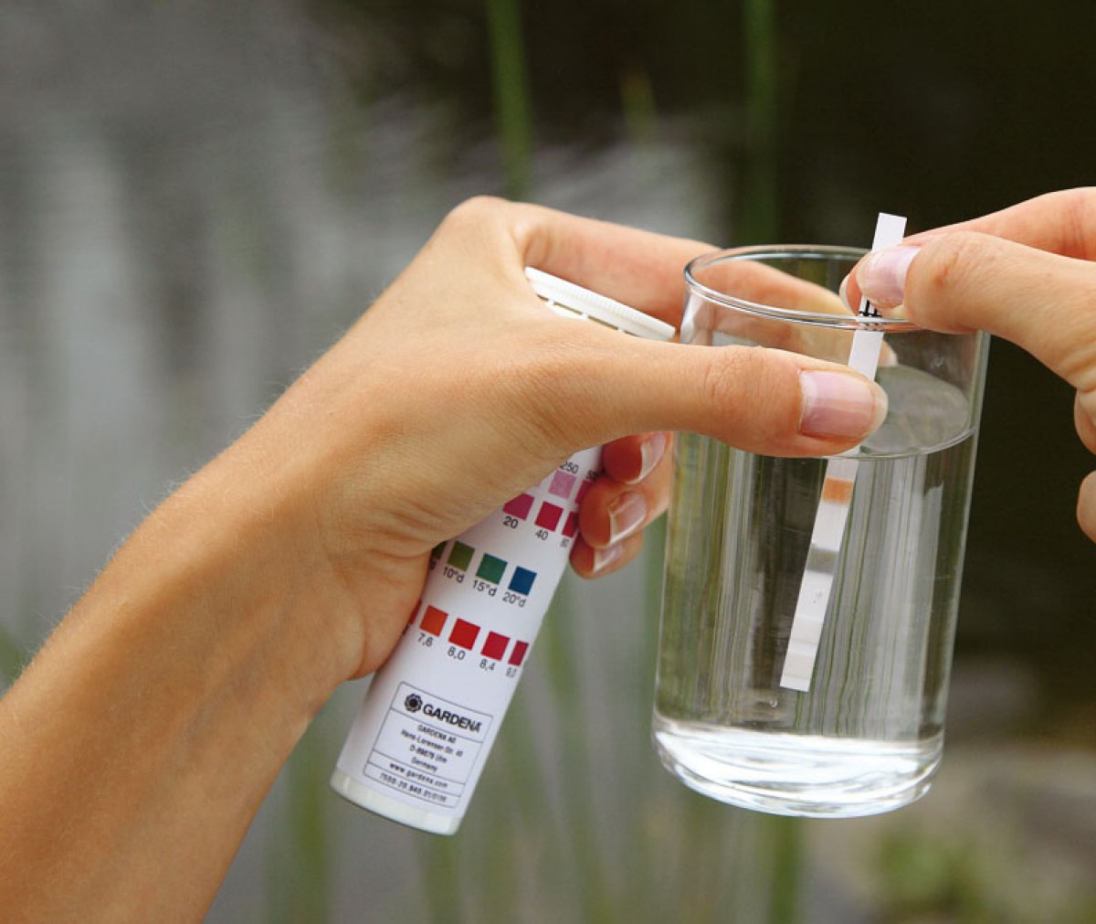 Проверить качество воды в домашних условиях