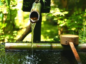 Gradinile japoneze ca paradisuri austere