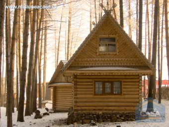 casa din lemn