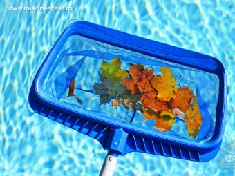 Paleta care scoate frunzele din piscina
