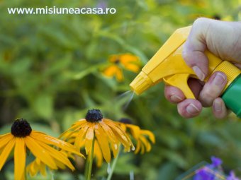 Pesticide pentru plante