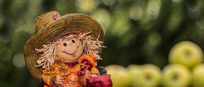 Alternativa organica la tratamentele cu pesticide: cum pot cuprul si potasiul sa ajute la controlul bolilor la plante