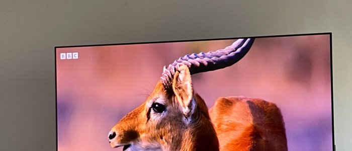 BRAVIA 8 II: Un televizor care transforma orice serial intr-un spectacol 