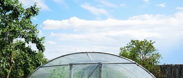 Cum functioneaza o sera pentru gradina in diferite sezoane?