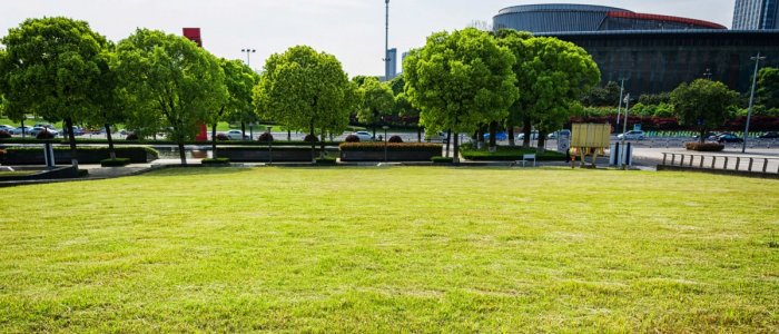 Cum sa repari rapid zonele deteriorate din gazon fara sa-i afectezi calitatea si aspectul