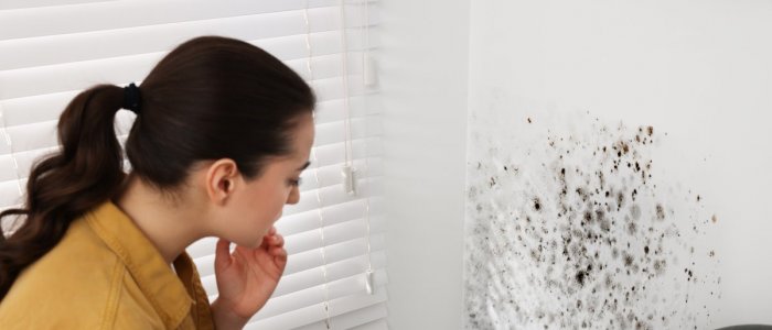 Mucegaiul in casa. 6 masuri pe care trebuie sa le iei imediat
