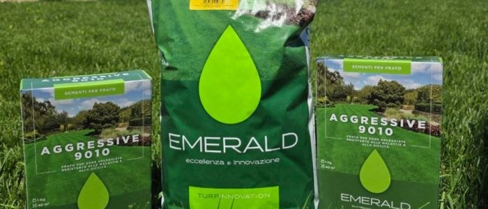 Schimba estetica gradinii tale, alege gazonul! Ghid de insamantare gazon in 5 pasi de la Gradinarul.ro