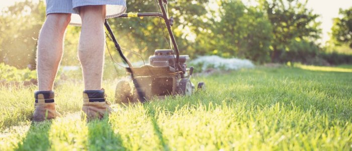 Tehnologie si unelte care fac viata la curte mai usoara
