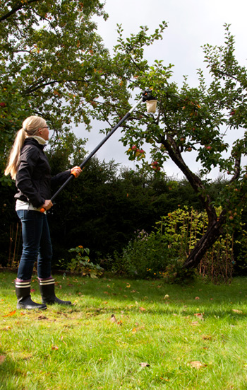 fruit picker - fiskars