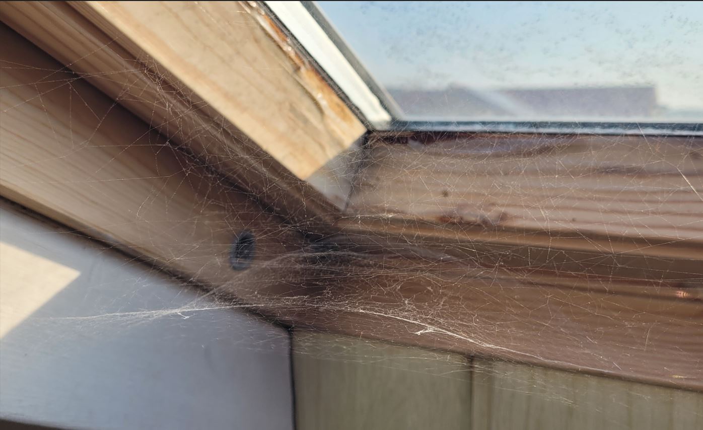 Pânză de păianjen formată în colțul unei ferestre de mansardă, semn al acumulării de praf, al curenților de aer și al unor zone greu accesibile din locuință.