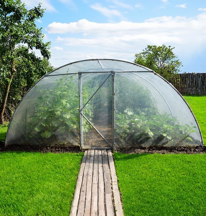Seră pentru grădină cu structură metalică, folosită pentru cultivarea legumelor în mai multe sezoane